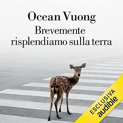 Ocean Vuong - Brevemente risplendiamo sulla terra  [mp3 - 12