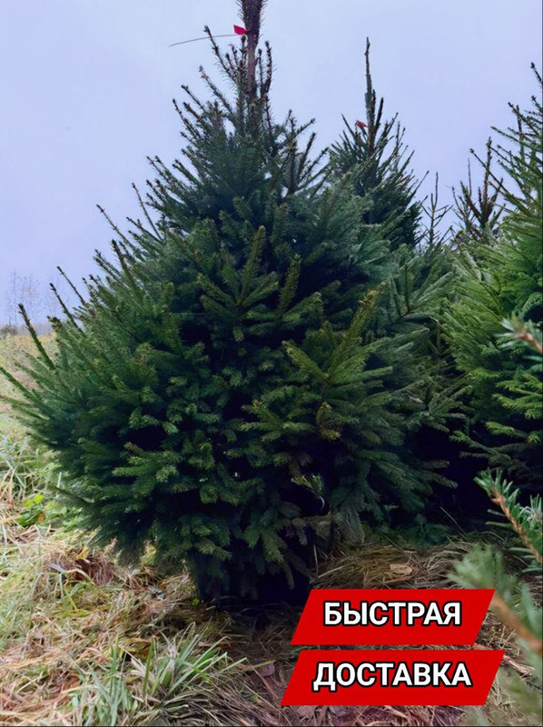 0be457620da6f5a07d60