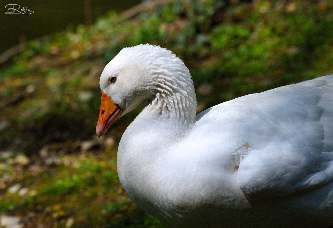 71EBB2B3-CD28-4990-932E-A179119FDFE0