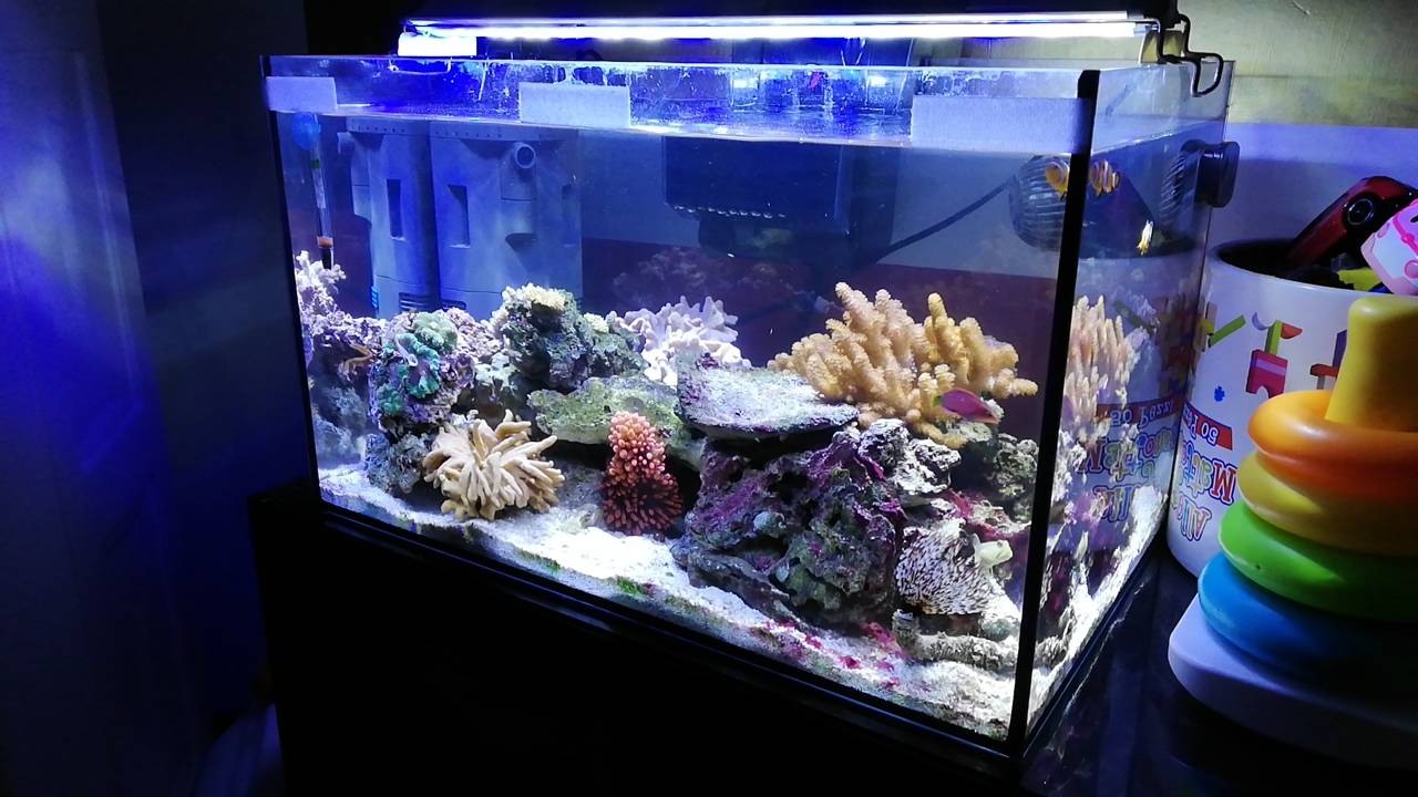 24B7F06F-721F-4933-B042-BBF4C9586BAF