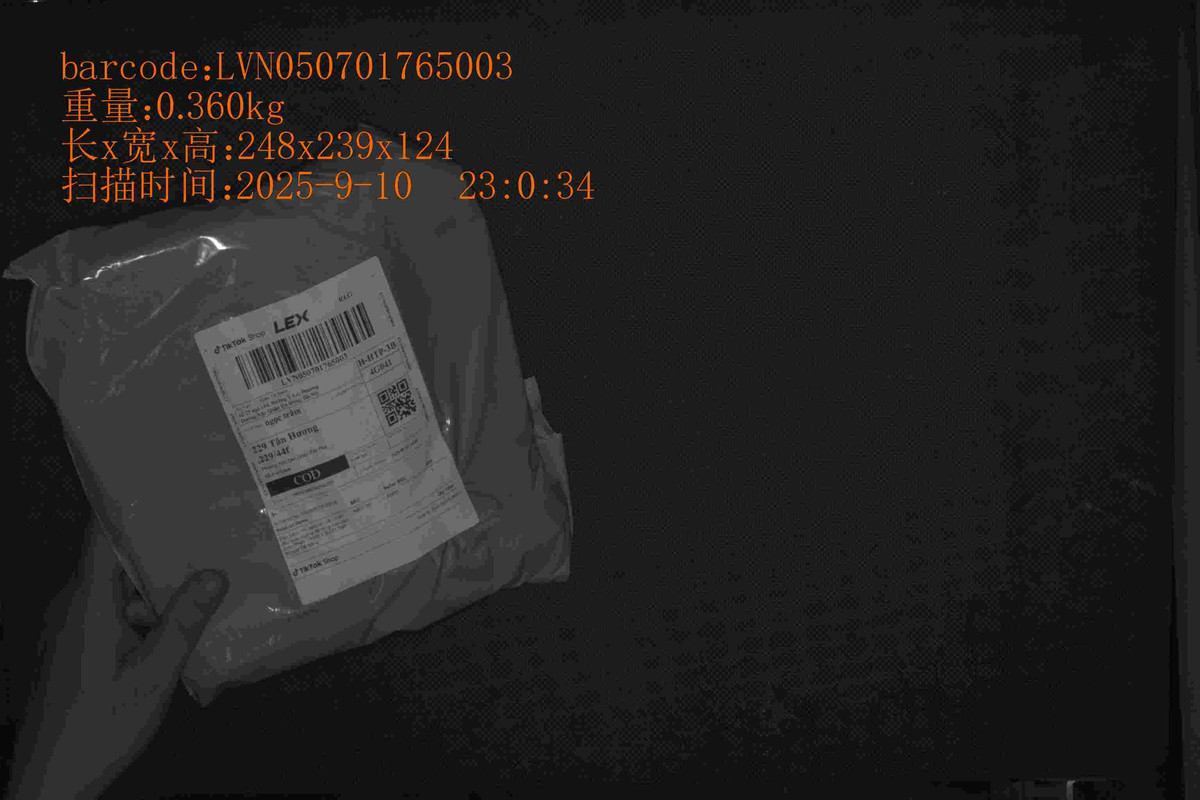 LVN050701765003_248_239_124_0.360_2025_9_10_23_0_34