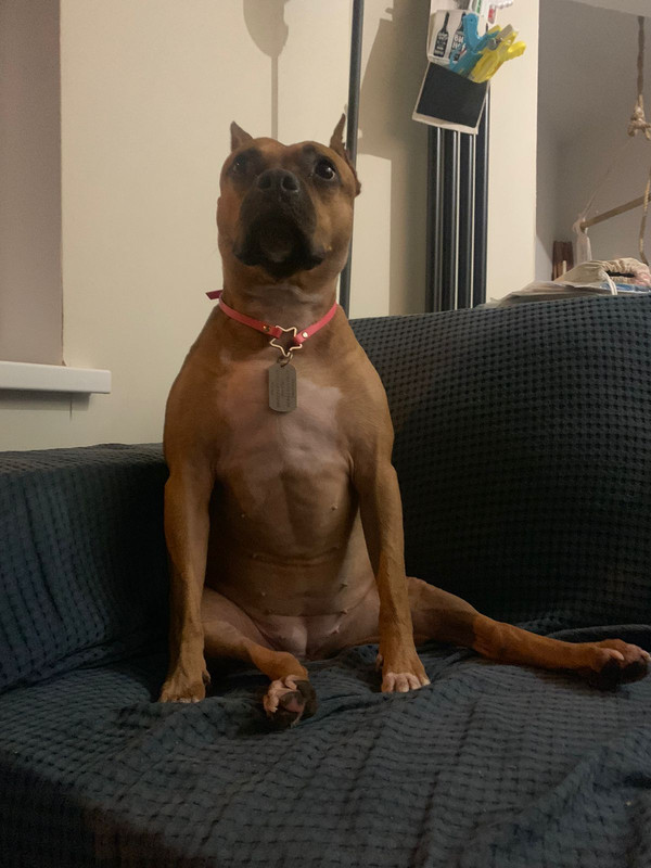 564DFF53-CC0F-440C-A137-CCC42A459AC5