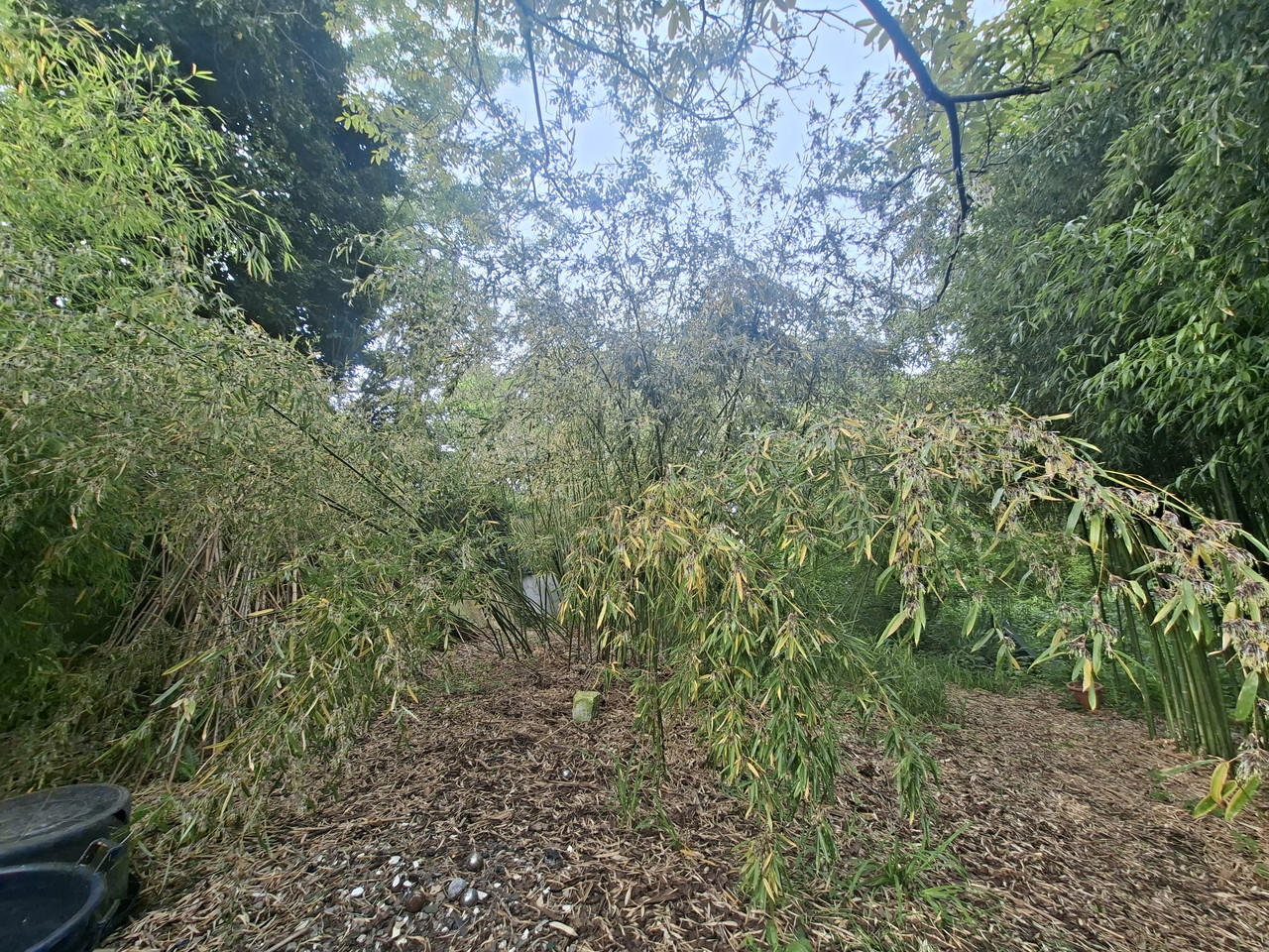 20260510 085742