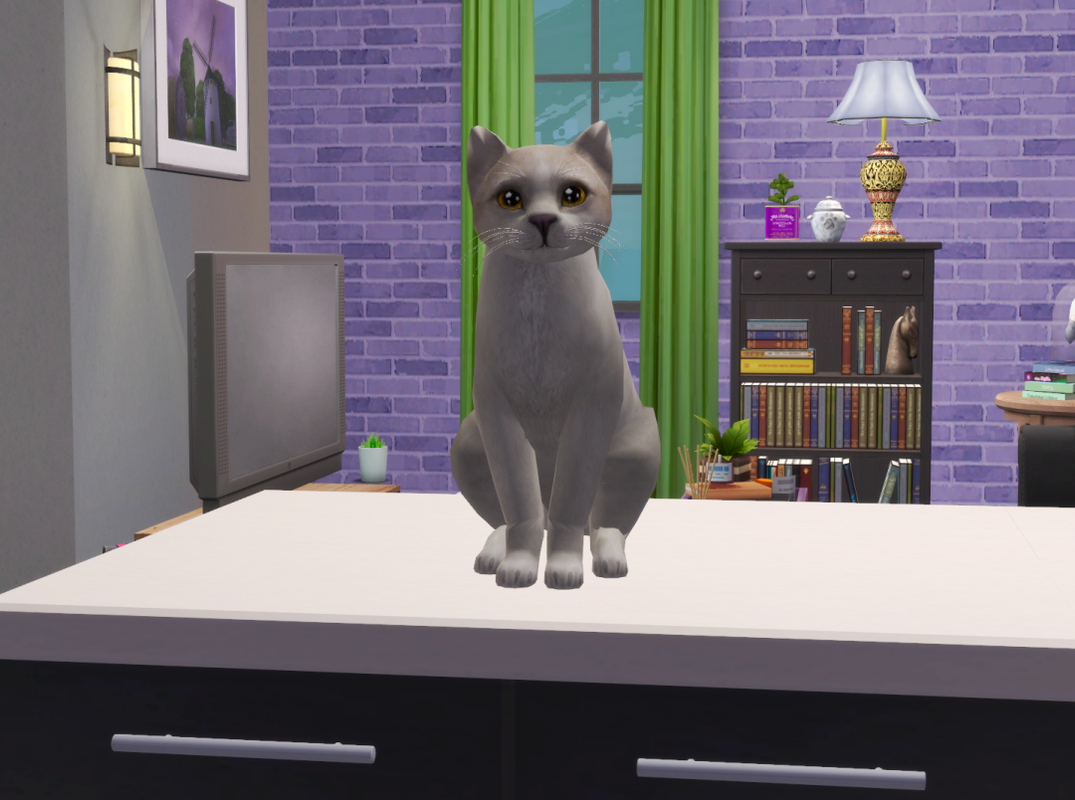 Sims2-EP9-RPC-2024-08-05-14-53-26-80