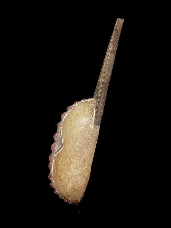 large image 9