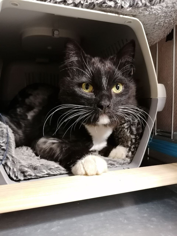 ECED6C54-ECC3-4299-B8EF-1A52EF4057F5