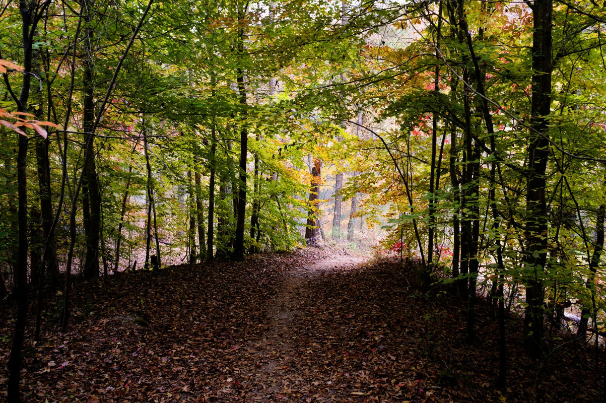 Trail in Milton