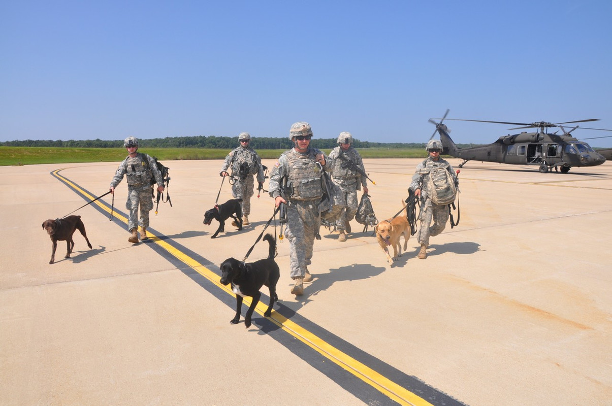 US ARMY K9 1st Brigade Combat Team (11)