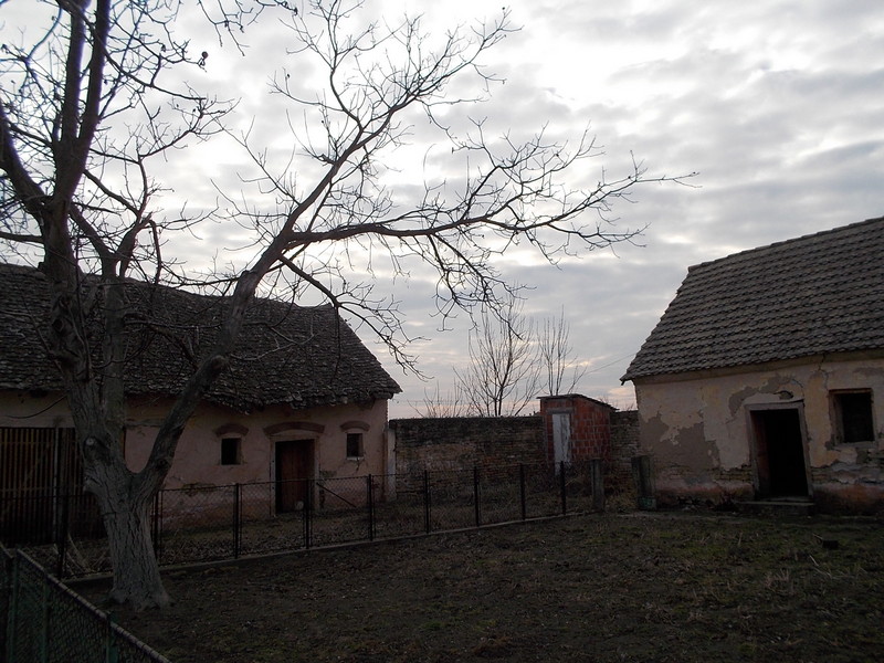 Slika