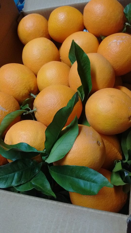 caja 15kg naranjas