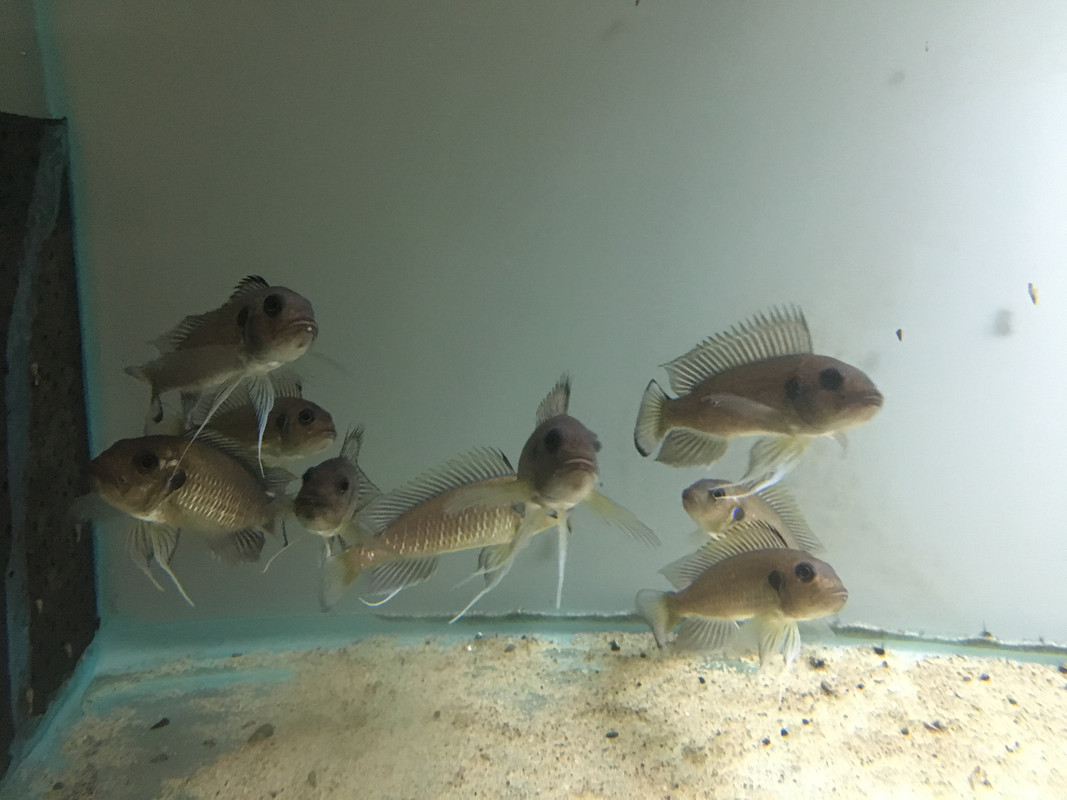 383B93AB-0E11-4D10-AB0B-A9B0B1F8F909