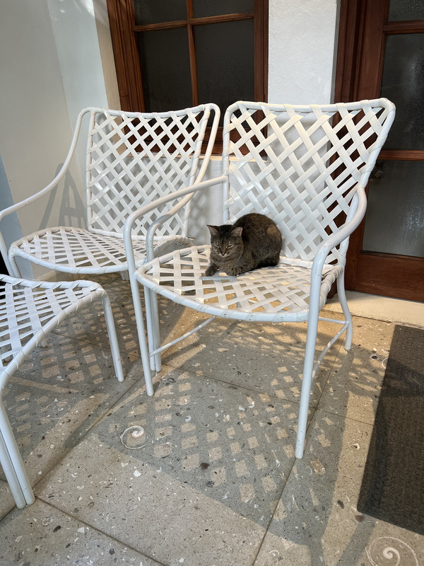 EA39A322-2B34-49AA-A621-BC70D41B6B1C