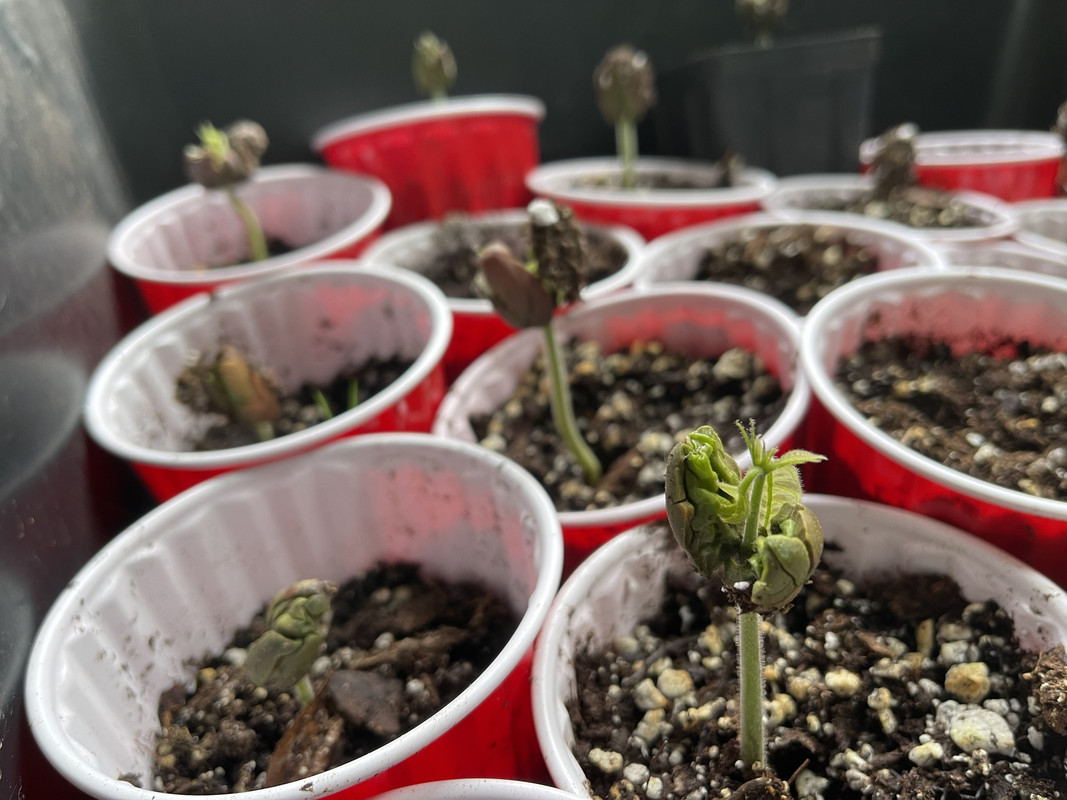 6E863AC9-F57B-42CD-9BB9-D76FF23F429C