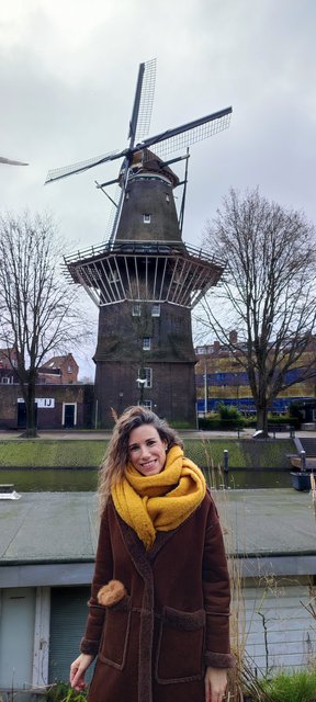 Vermeer, alquilar bicis, molinos.... - Amsterdam 2023 en pareja (14)