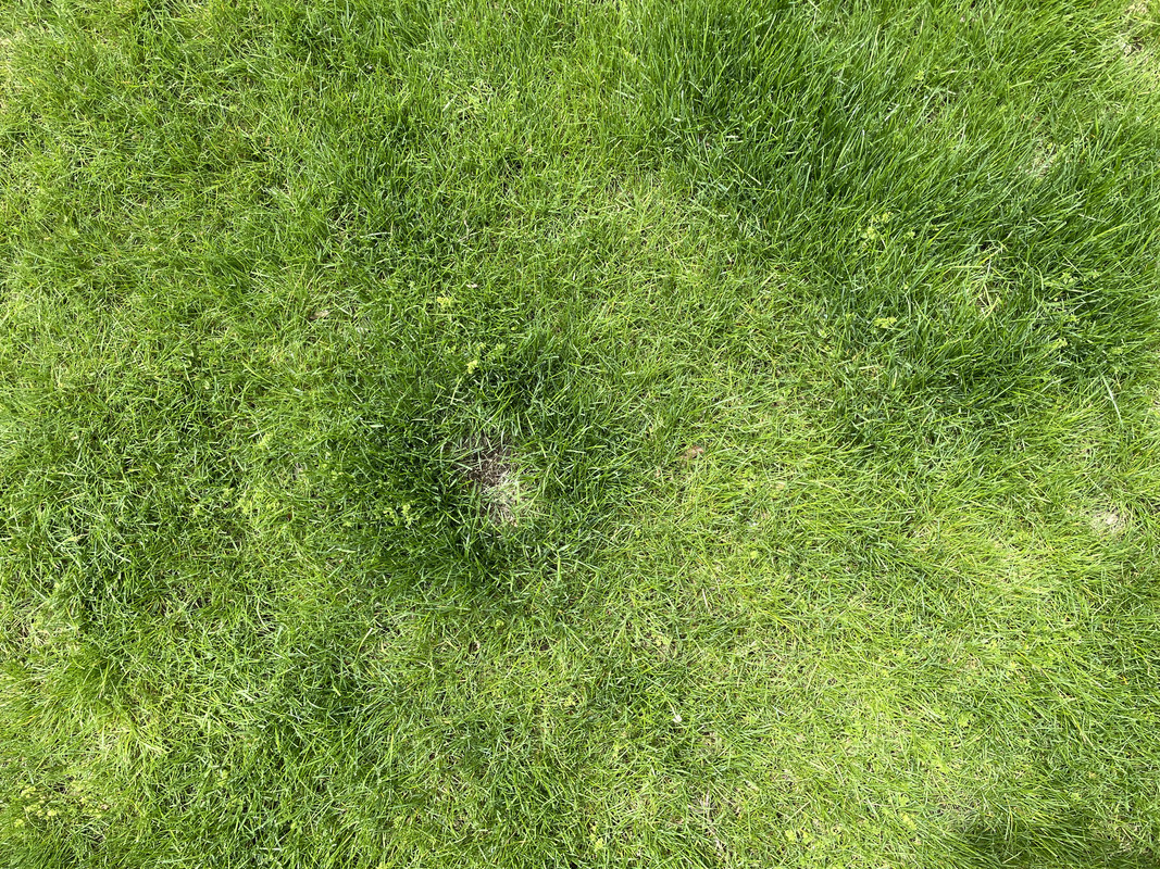 F170A47A-0B81-469E-852A-BD7C88EE7CA3