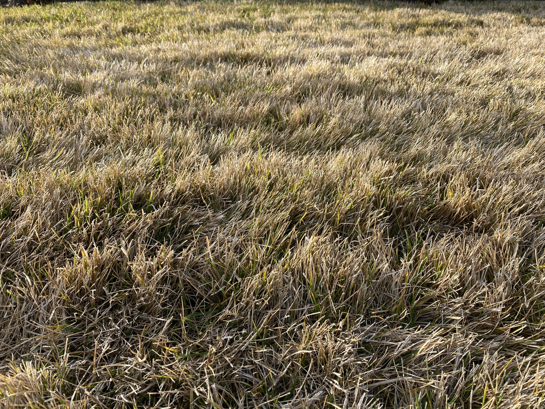 653A42E1-2AFC-4632-9850-E54A1552F1B4