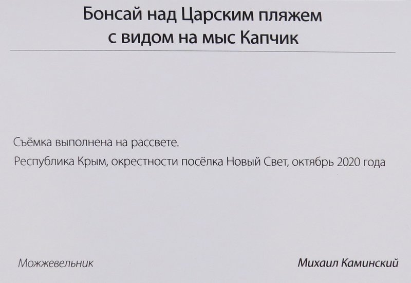 https://i.postimg.cc/KjjY99bN/IMG-9276.jpg