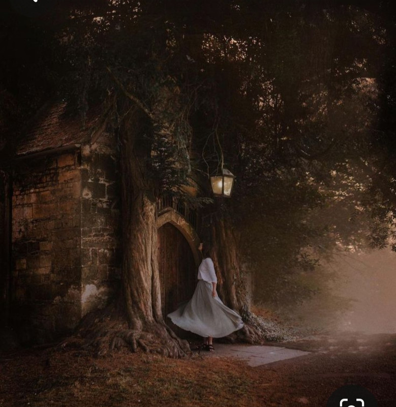 Screenshot_20231127_221145_Pinterest