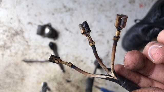 3B0D2AE8-265A-41DD-9281-F5FE9F8CD315