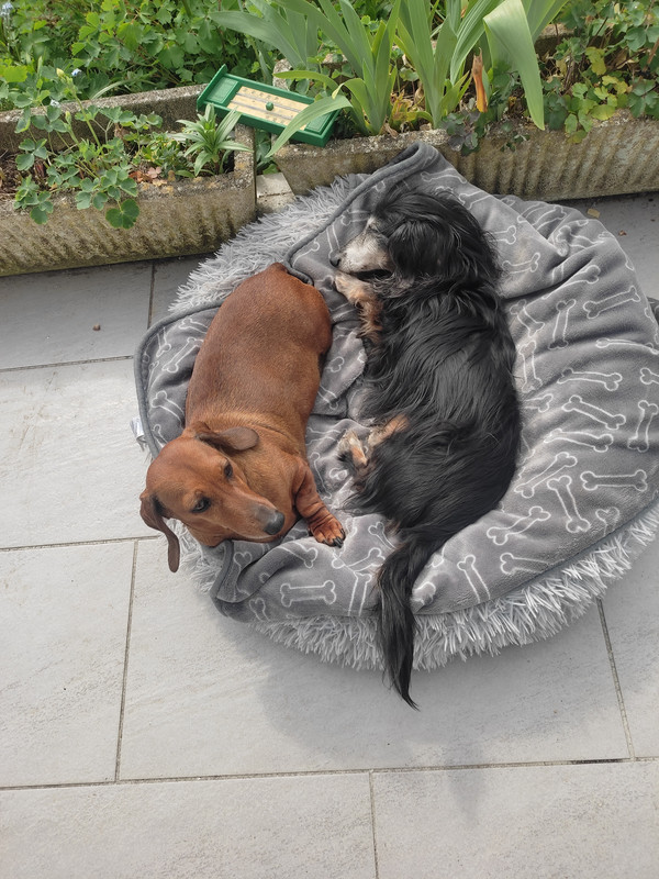 [Image: IMG-20250414-160002.jpg]