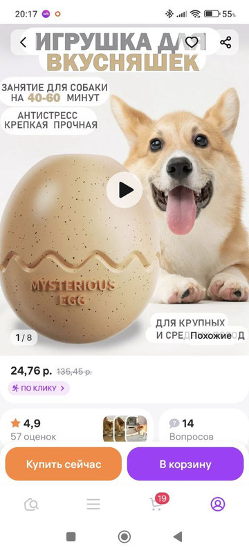 photo 2025 11 04 11 56 18