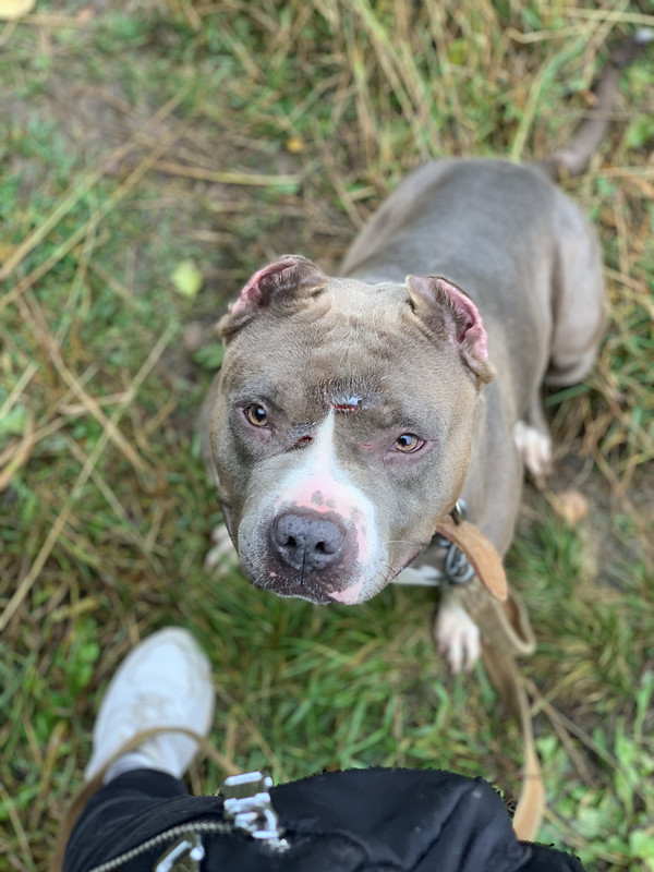 CDBCB9DA-2845-41E9-BAD9-B24DBA809074