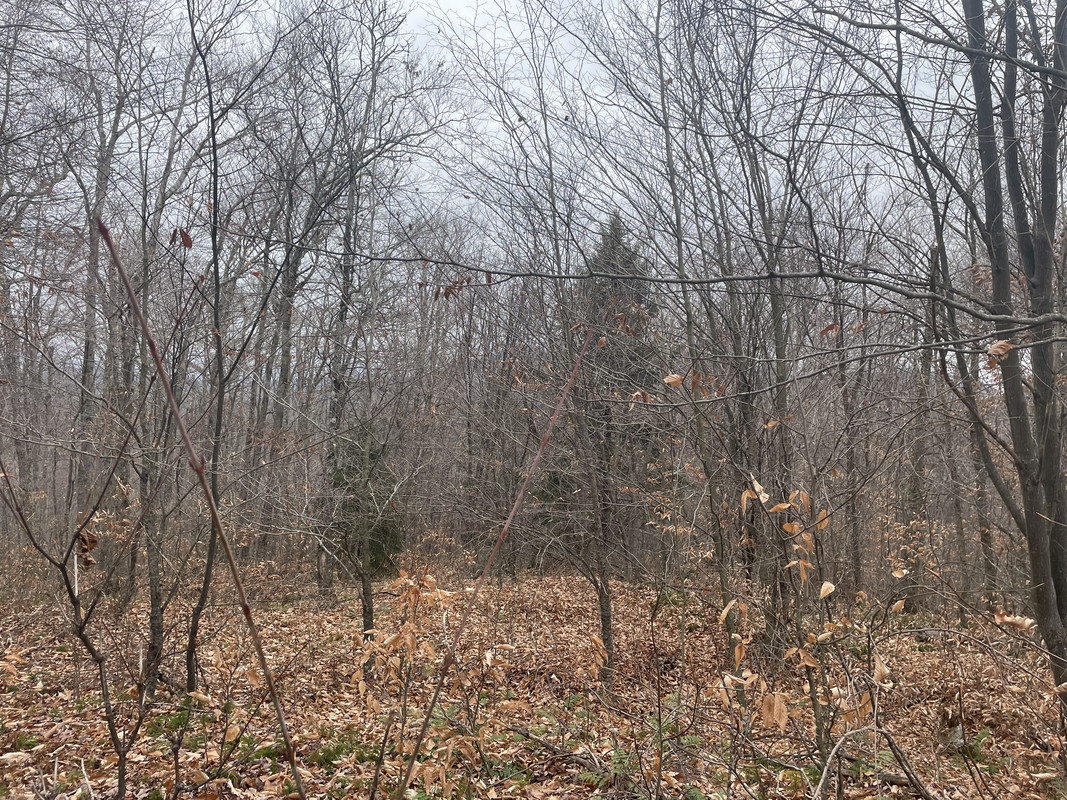 F6030226-5914-4504-A996-D45B5140C08A