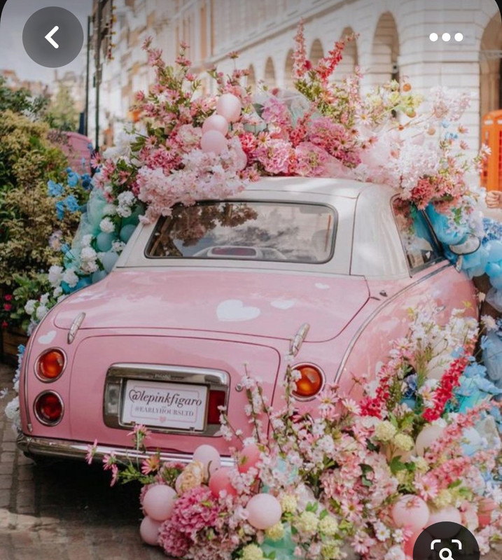 Screenshot_20230611_231135_Pinterest