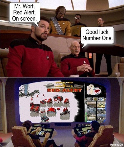 thumbs-picdump817-002.jpg
