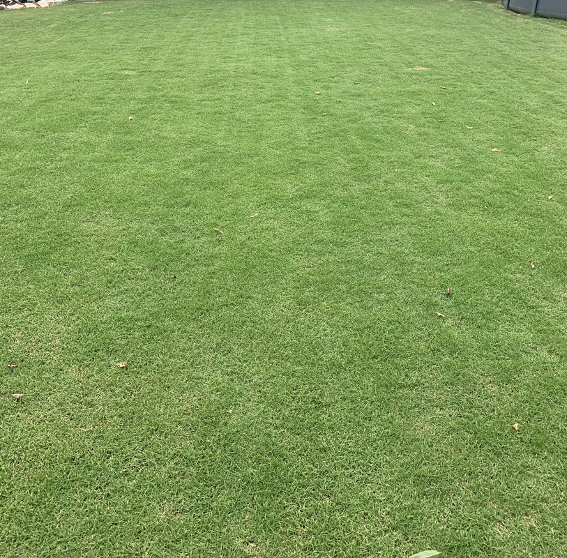 F73F8435-77F8-4955-B54F-8150011BD0A5