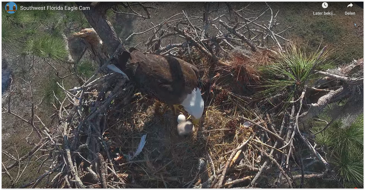 Screen Shot 12 26 25 at 04 09 PM 001