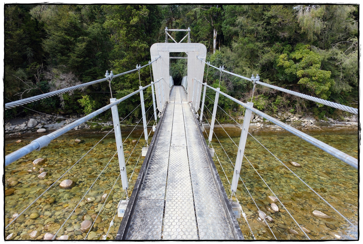 The Old Ghost Road (marzo 2024) - Escapadas y rutas por la Nueva Zelanda menos conocida (63)