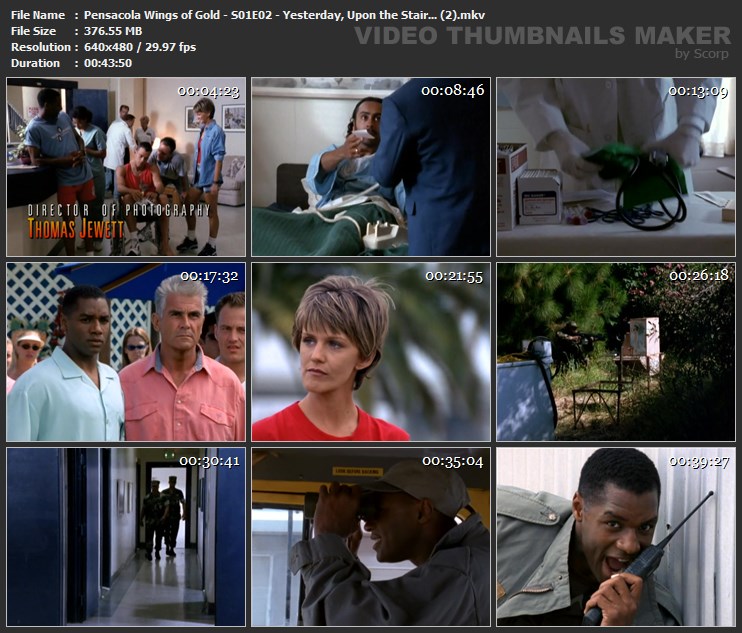 Pensacola Wings of Gold - S01E02 - Yesterday, Upon the Stair... (2).mkv