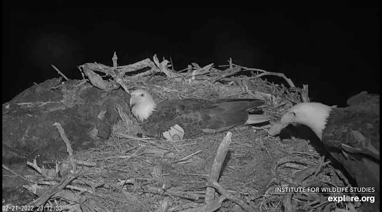 1F0D56B1-E80F-4B09-B69C-1214749C5E87