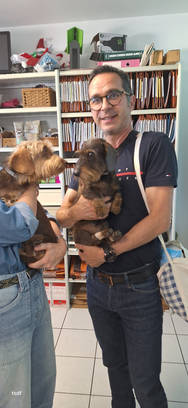 [Image: 20250517-155052.jpg]