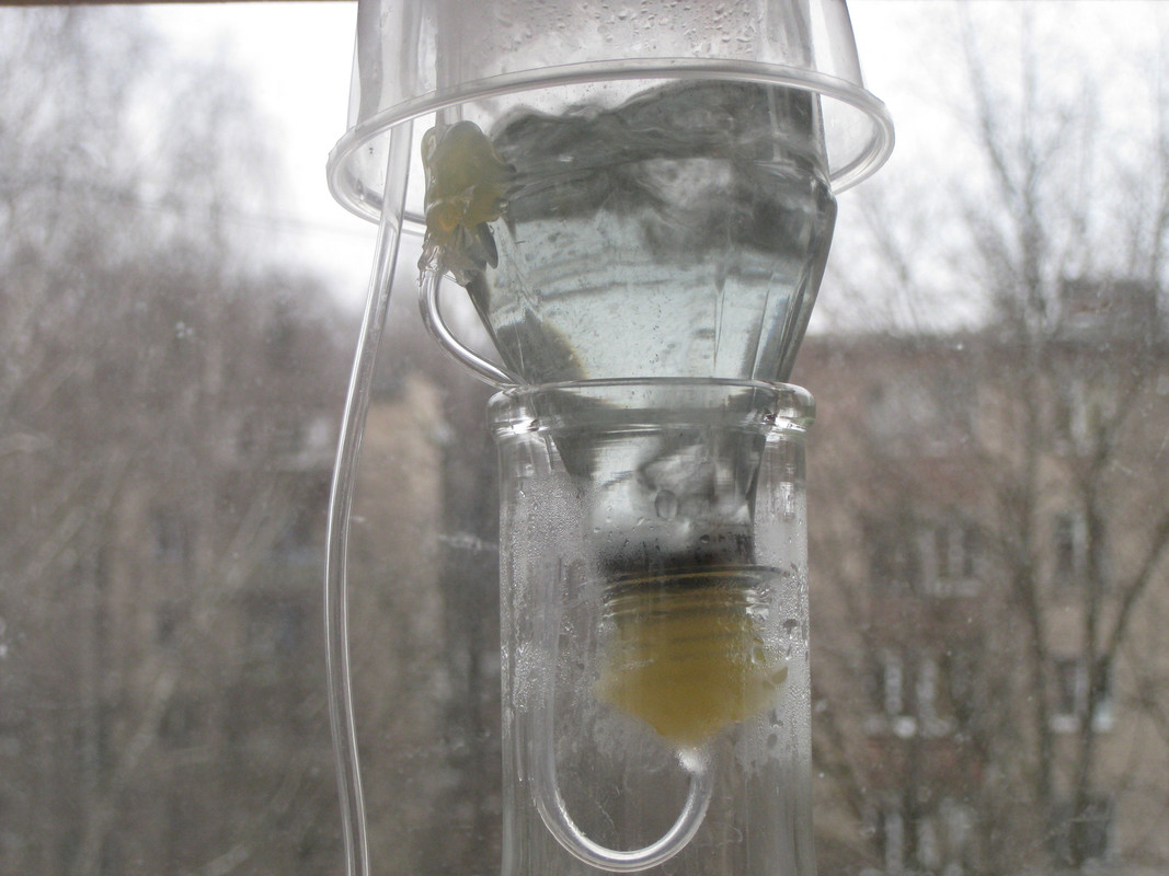 окончание реакции