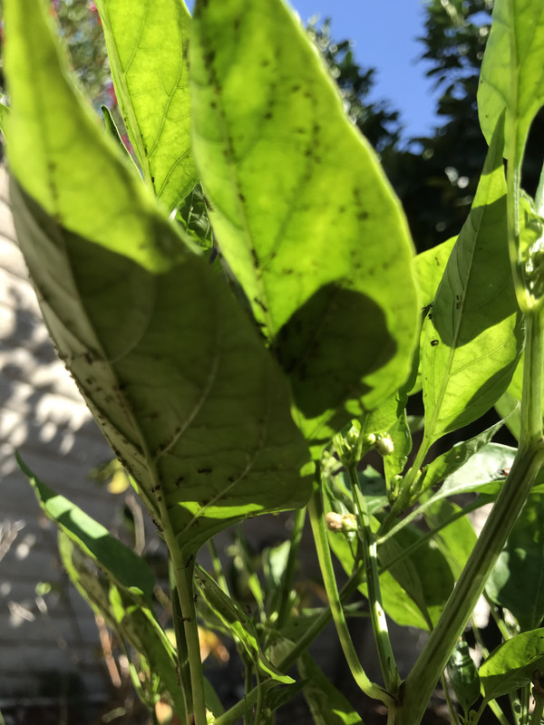 A37E2CF9-503A-4D95-868F-597B9C0E30AF