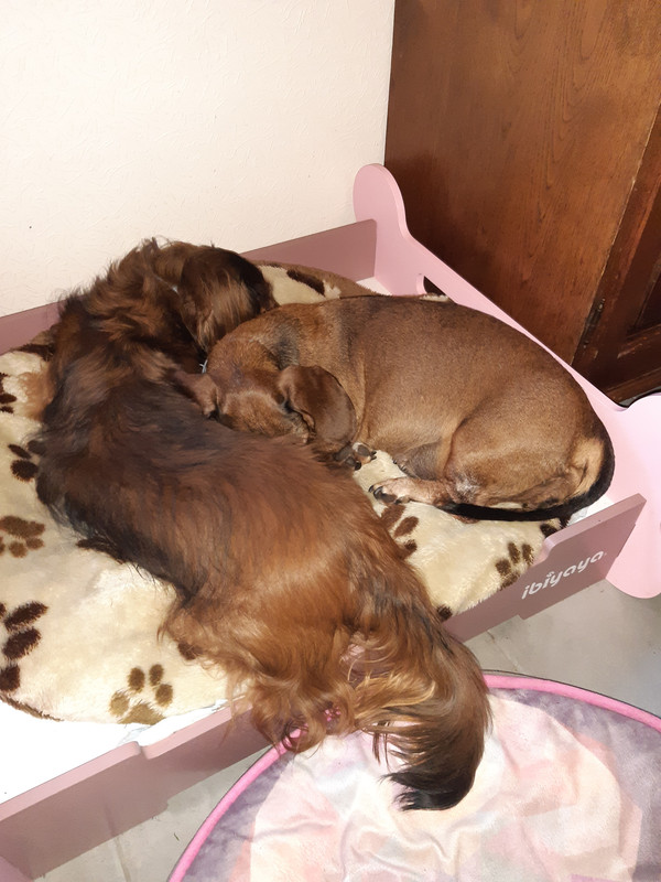 [Image: 20210613-074014.jpg]