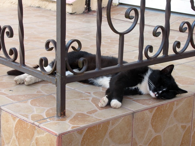 Возвращение в Калининград и... в Кёнигсберг. Маленькие городки бывшей Пруссии