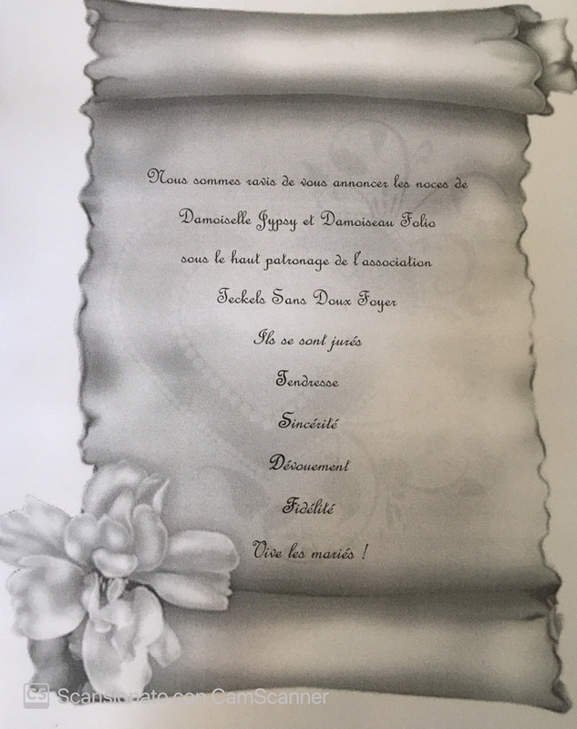 [Image: Noces-Jypsy-et-Folio.jpg]