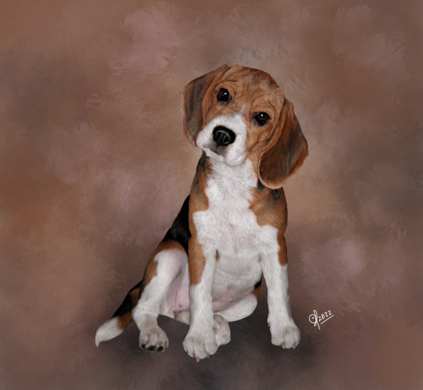perro