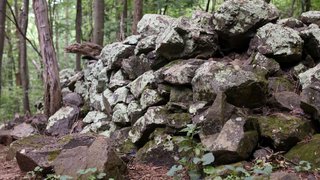 [Image: slide-1.jpg]