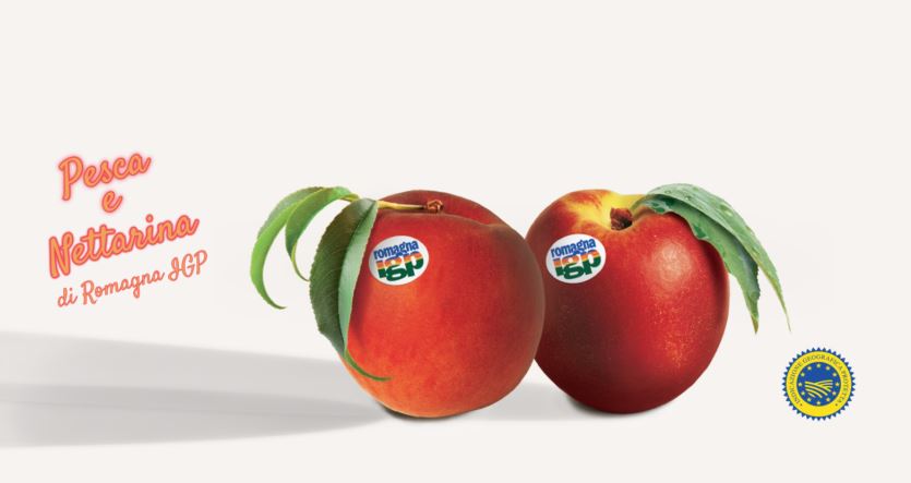 PESCHE E NETTARINE DI ROMAGNA IGP: dal 27 Giugno parte la campagna commerciale e la comunicazione nazionale