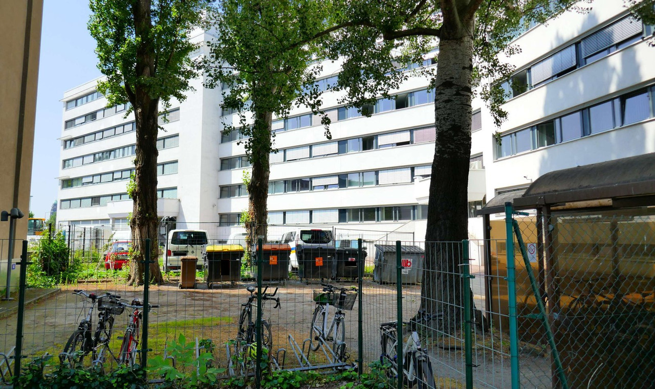 Bild: https://i.postimg.cc/KjmtJLwv/P1280457.jpg