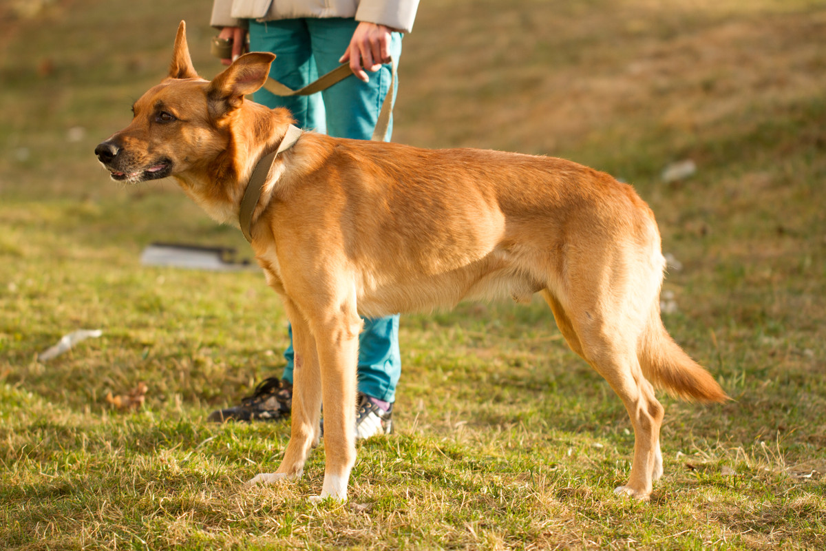 без имени-5382