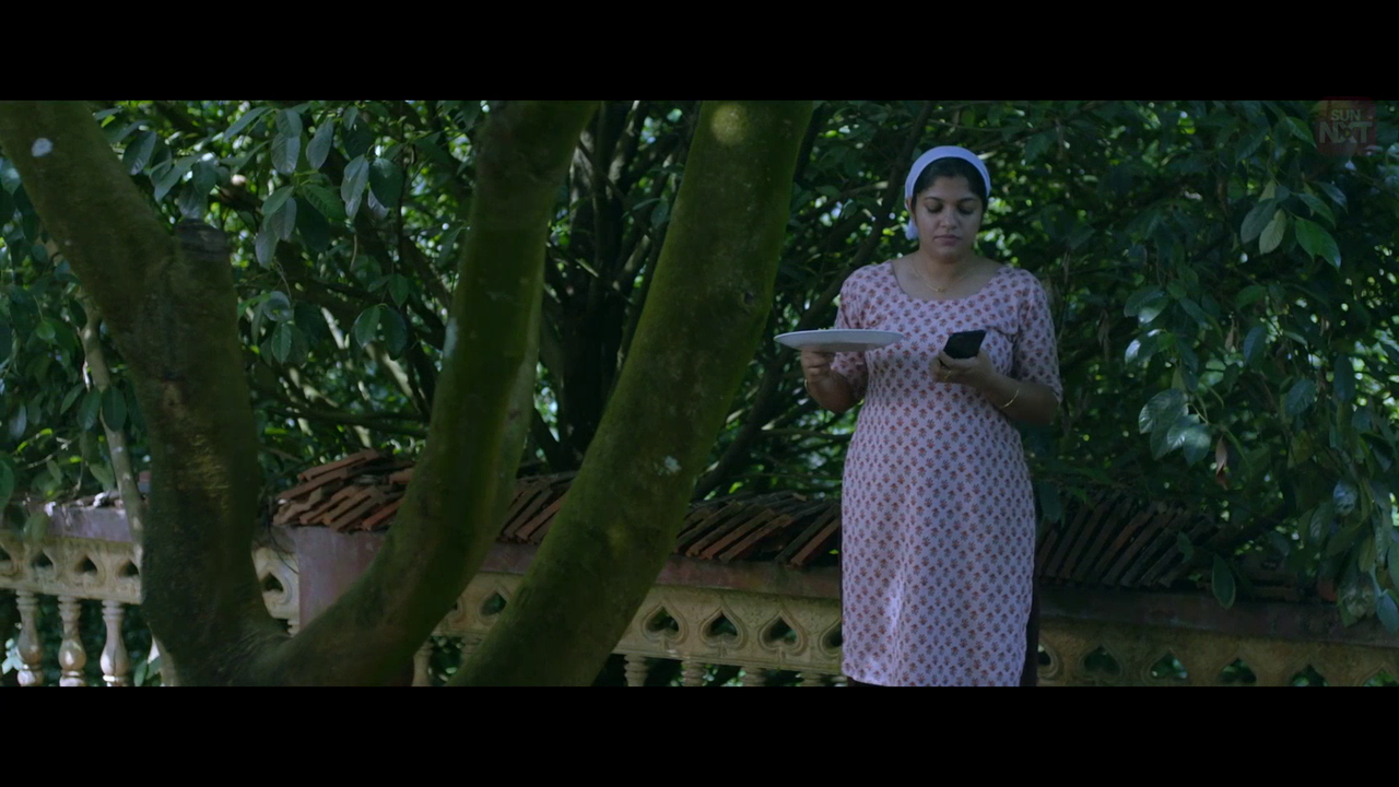 vlcsnap 2026 02 11 15h44m20s748