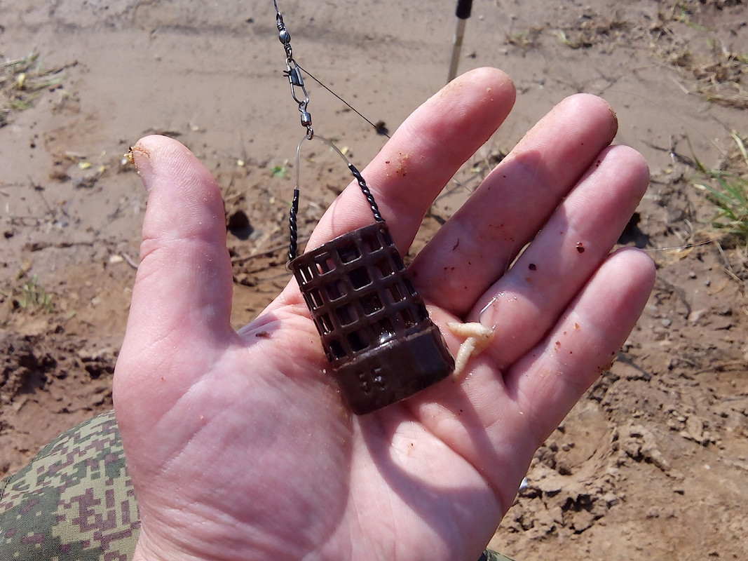 В. Курья 02.06.15 01