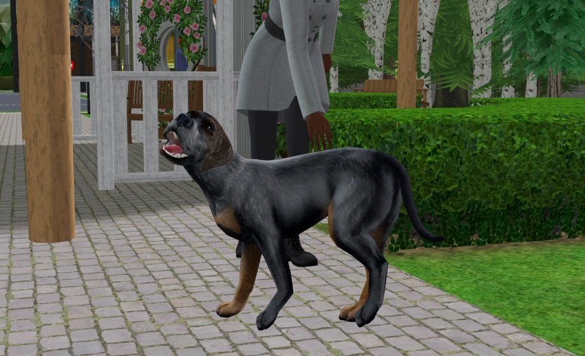 Sims2-EP9-2021-03-12-14-50-17-56