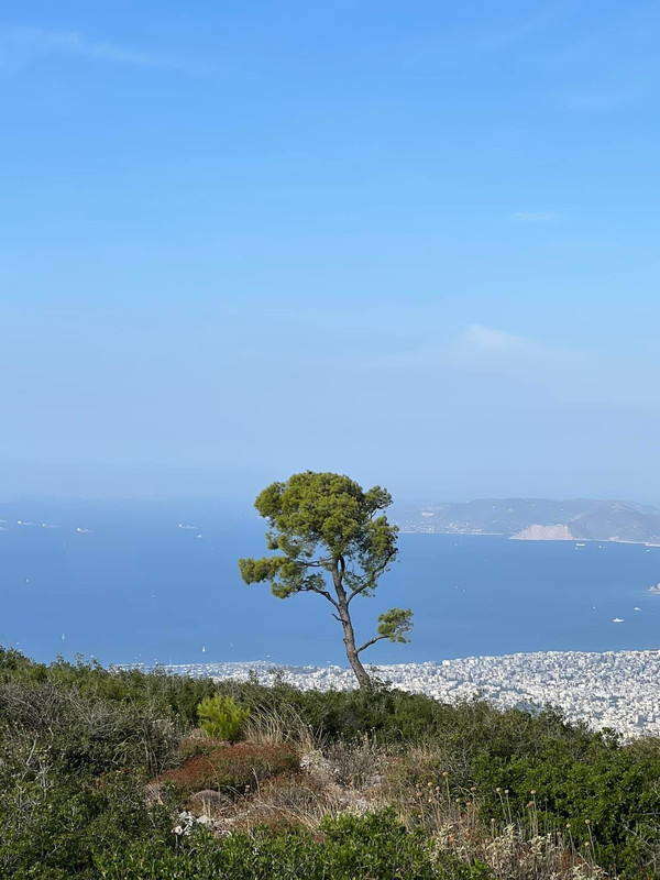 184DD981-DC56-4109-AF8E-C71EC5D7A9CF