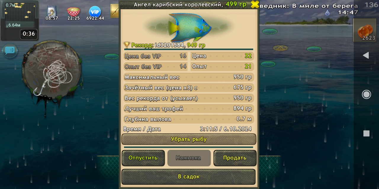 Screenshot-2024-10-06-07-11-16-292-fish-